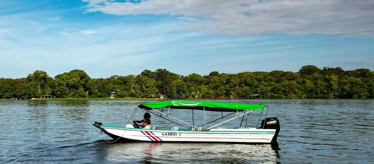 Departamento 7 Tortuguero Leilighet Eksteriør bilde
