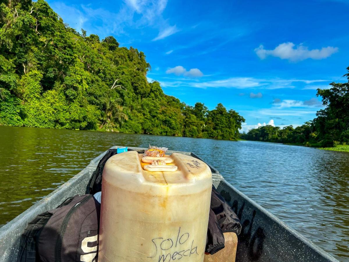 Departamento 7 Tortuguero Leilighet Eksteriør bilde
