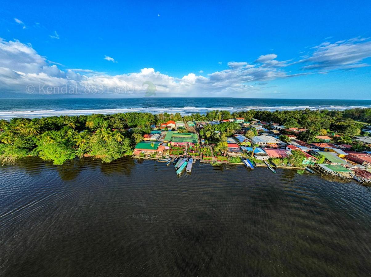 Departamento 7 Tortuguero Leilighet Eksteriør bilde