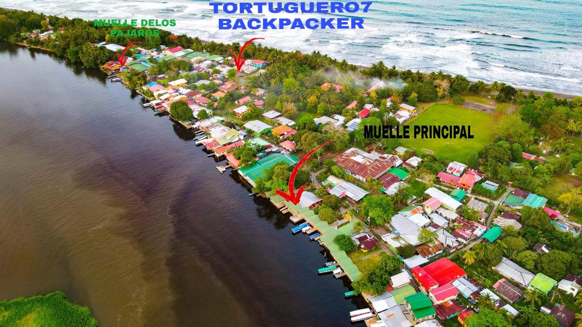 Departamento 7 Tortuguero Leilighet Eksteriør bilde